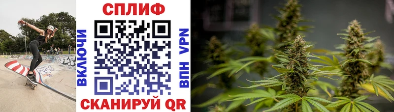 Бошки марихуана AK-47  где продают   Чухлома 